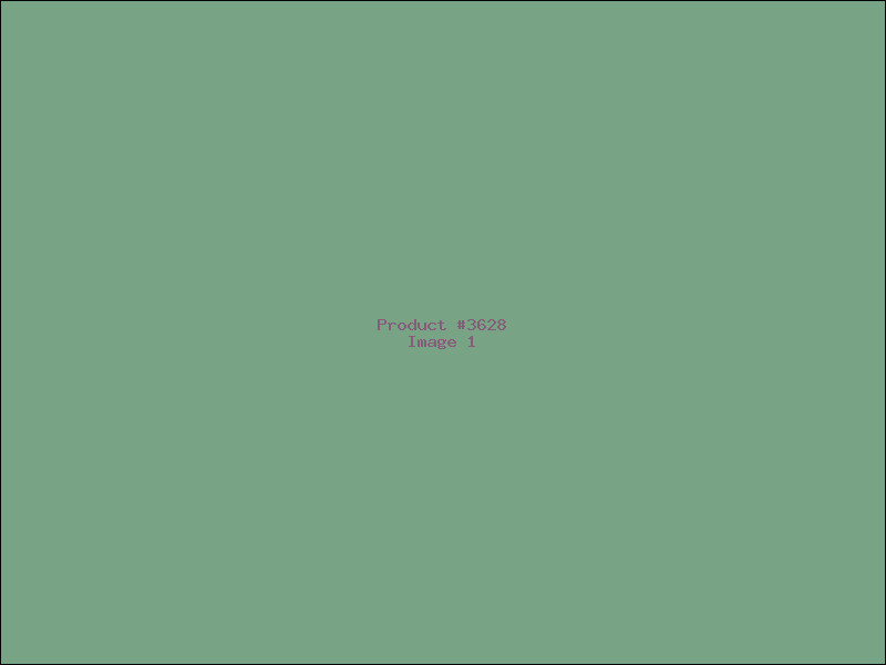 Example Product 3628