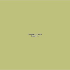 Example Product 3629