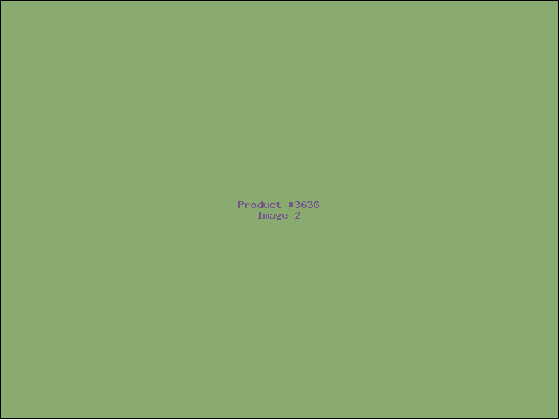 Example Product 3636 - Image 2