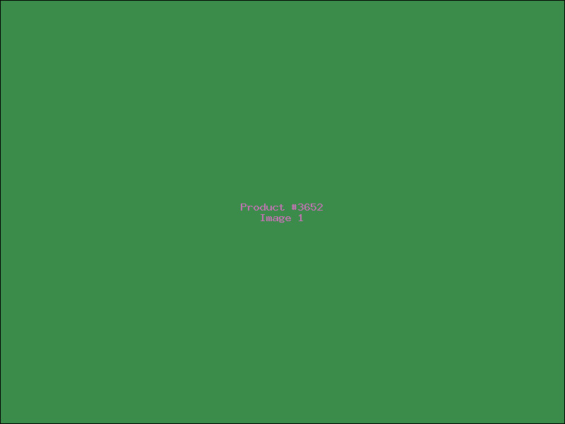 Example Product 3652