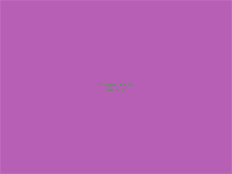 Example Product 3665 - Image 2