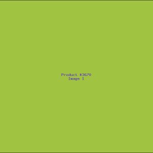 Example Product 3670