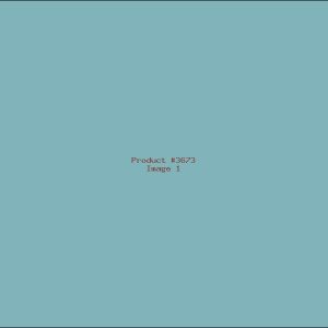 Example Product 3673