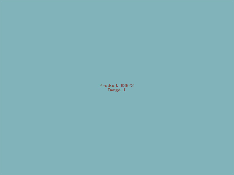 Example Product 3673