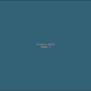 Example Product 3674