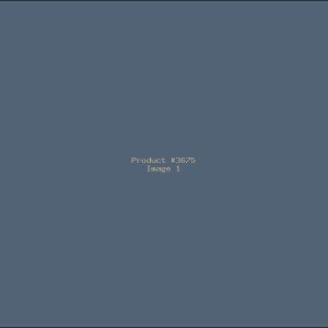 Example Product 3675