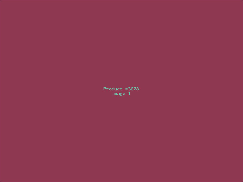 Example Product 3678