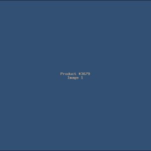 Example Product 3679