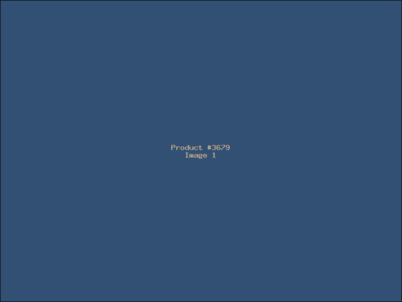 Example Product 3679