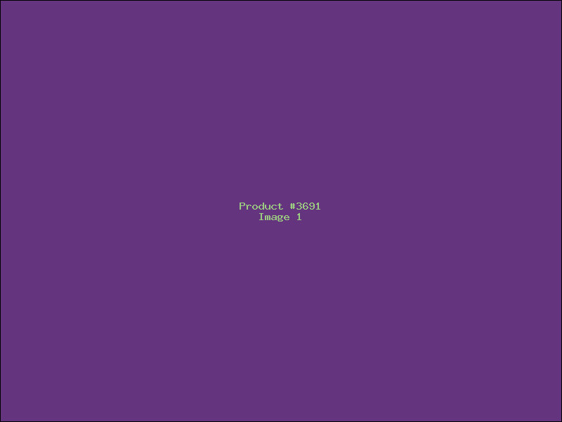 Example Product 3691