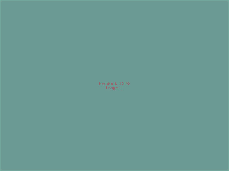 Example Product 370