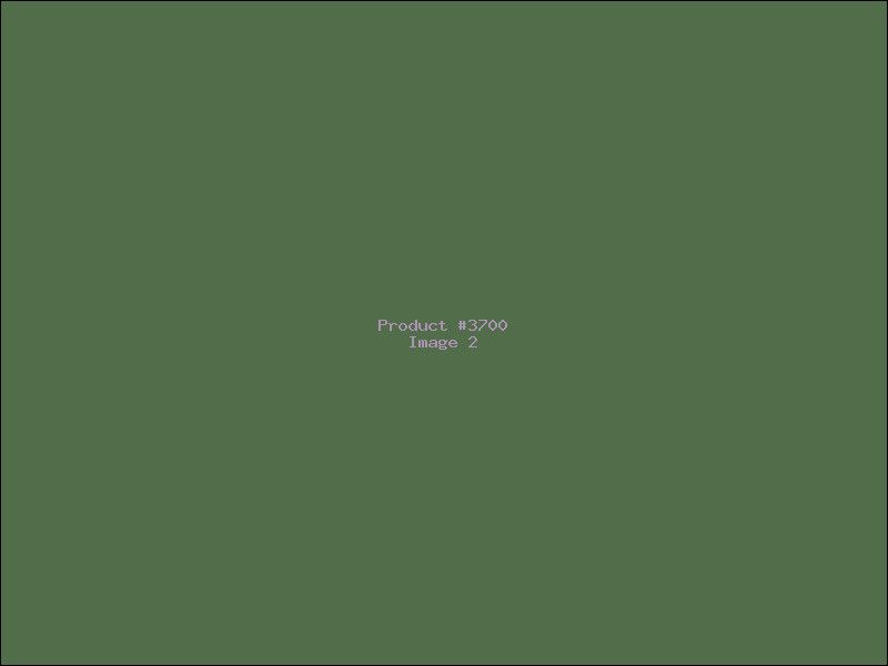 Example Product 3700 - Image 2