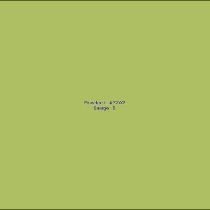 Example Product 3702