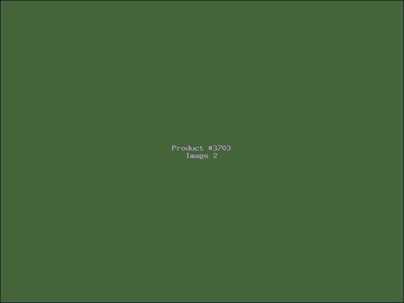 Example Product 3703 - Image 2