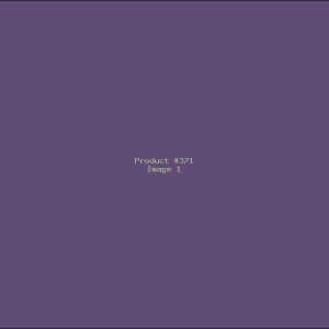 Example Product 371