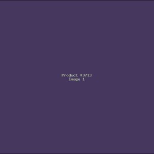 Example Product 3713