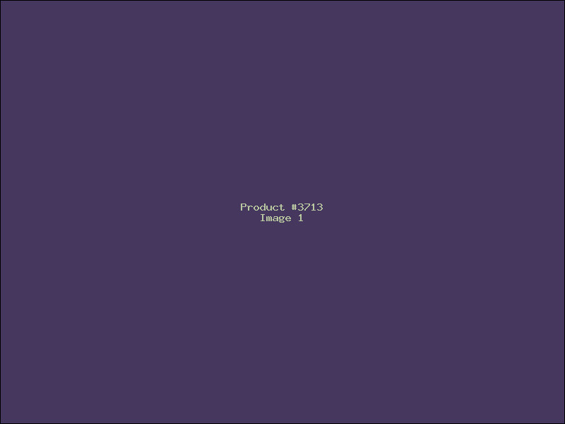 Example Product 3713