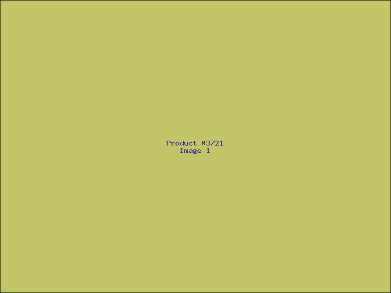 Example Product 3721