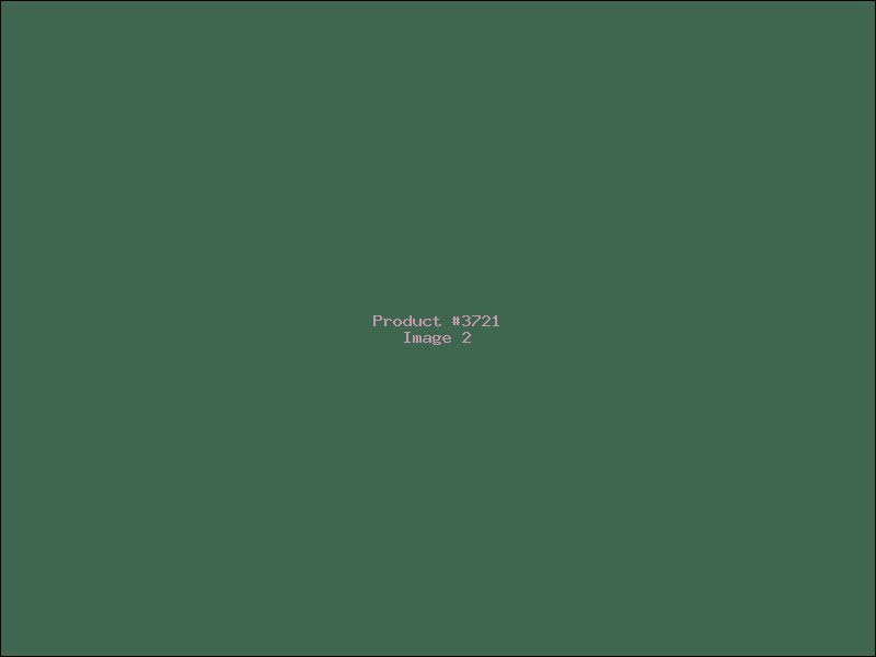 Example Product 3721 - Image 2