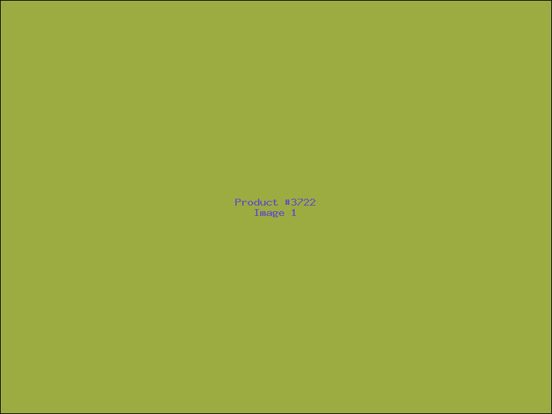 Example Product 3722