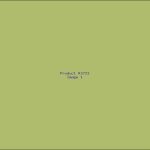 Example Product 3723