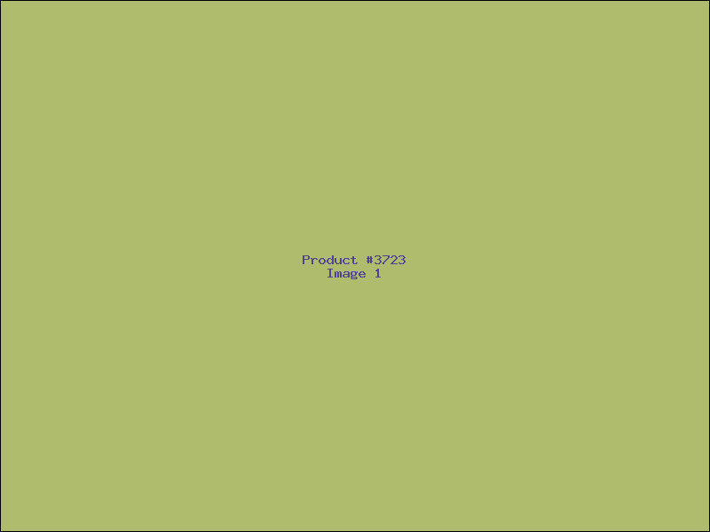 Example Product 3723