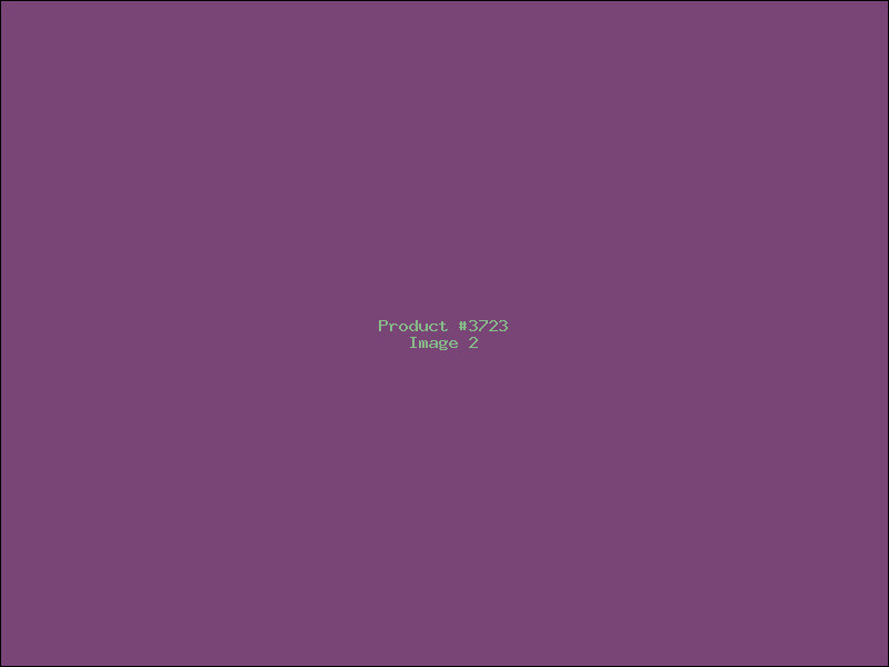 Example Product 3723 - Image 2