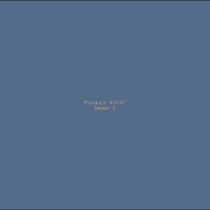 Example Product 3727