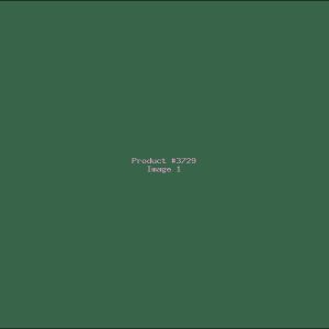 Example Product 3729