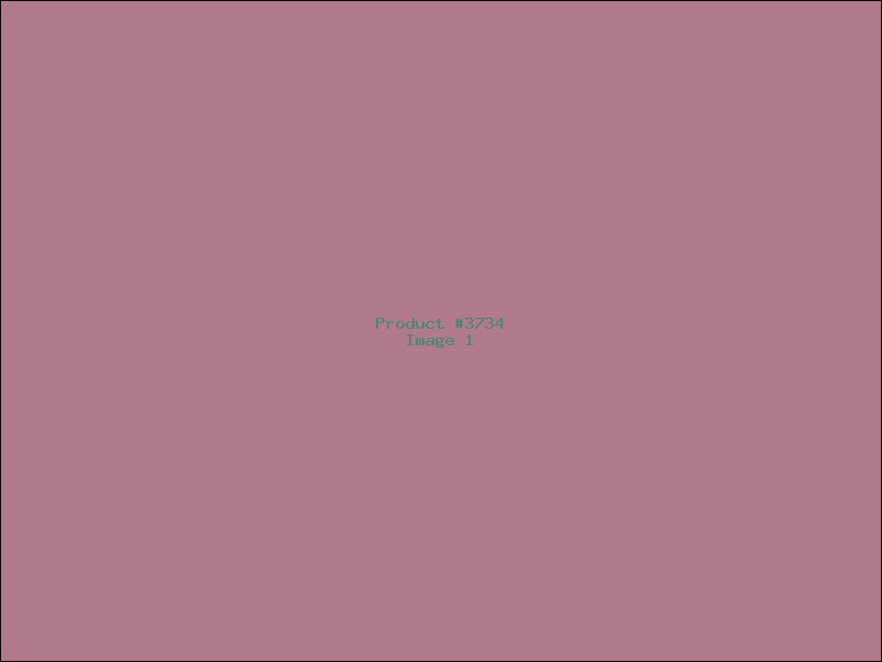Example Product 3734