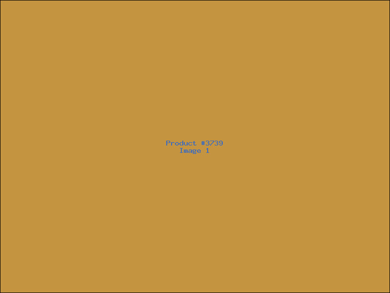 Example Product 3739