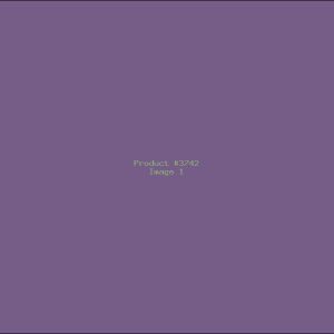 Example Product 3742