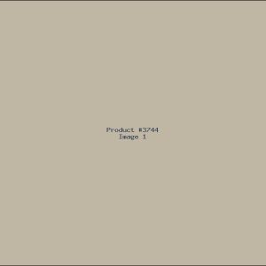 Example Product 3744
