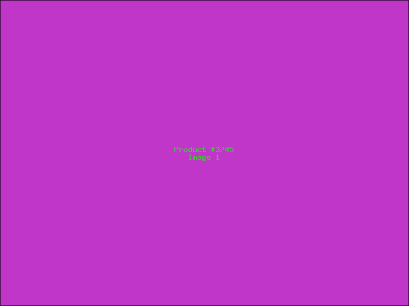 Example Product 3745