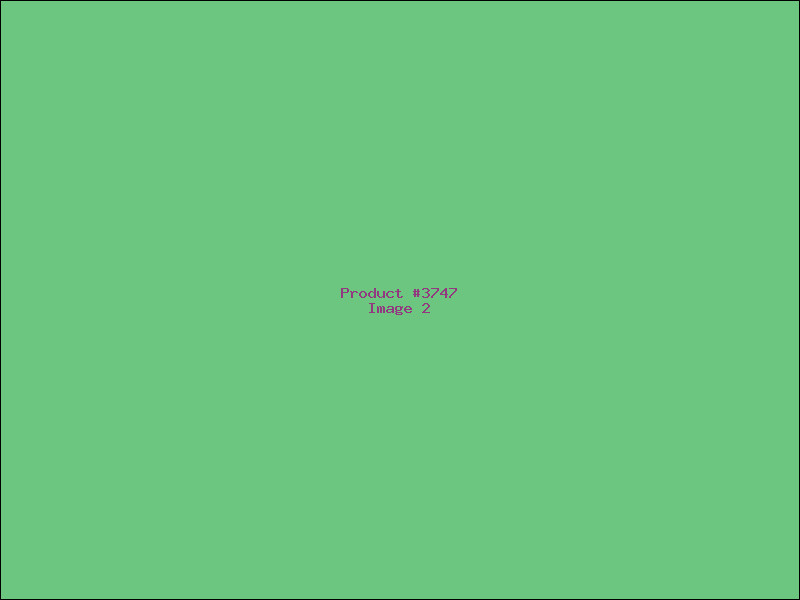 Example Product 3747 - Image 2