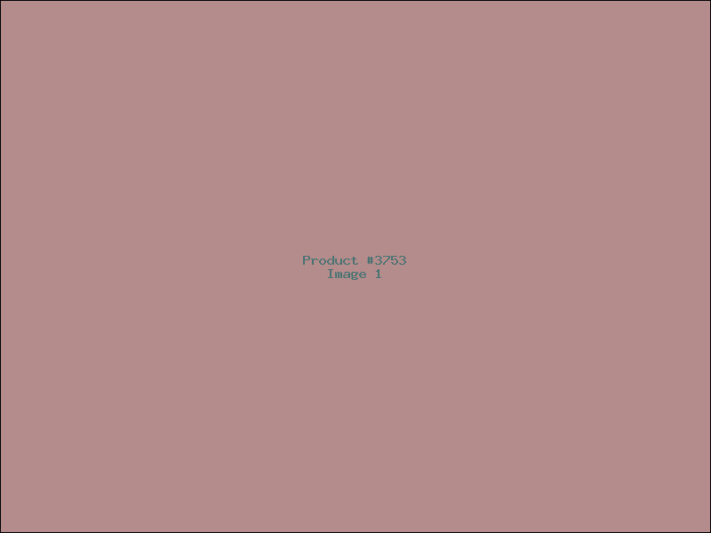 Example Product 3753