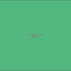 Example Product 3754