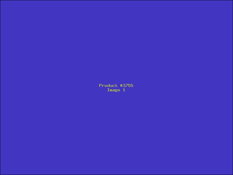 Example Product 3755