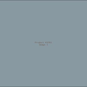 Example Product 3761