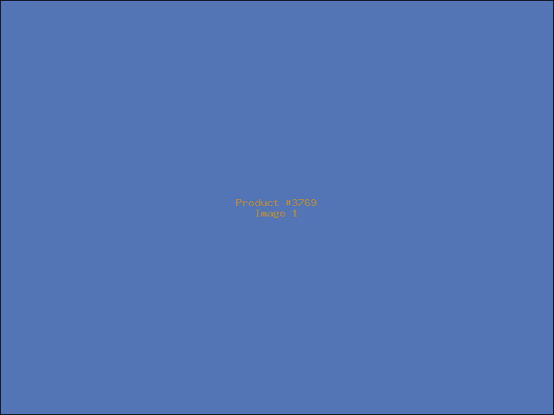 Example Product 3769
