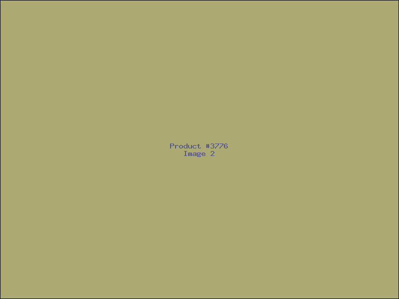 Example Product 3776 - Image 2