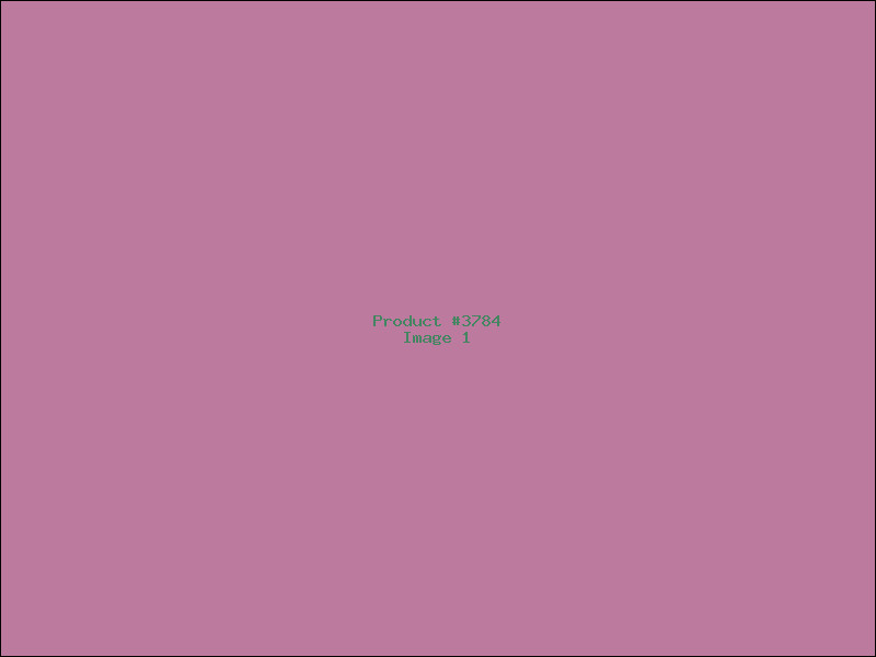 Example Product 3784