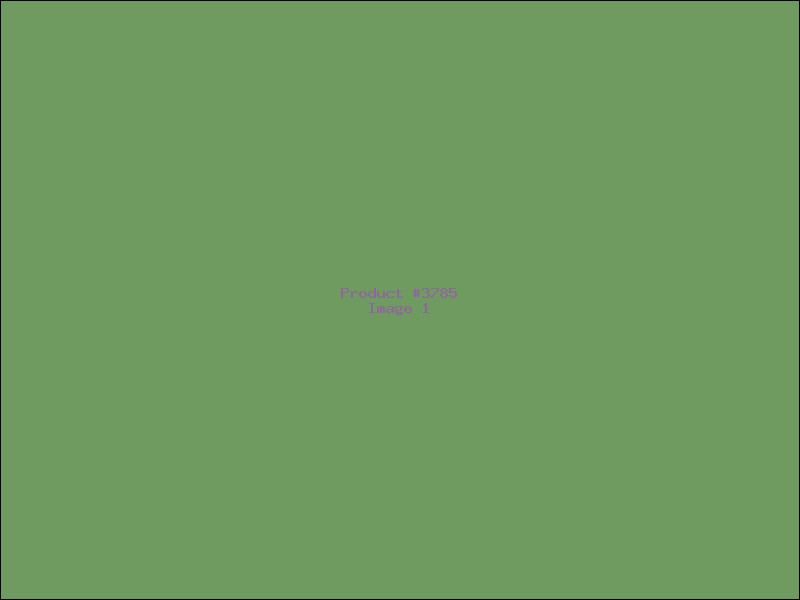 Example Product 3785