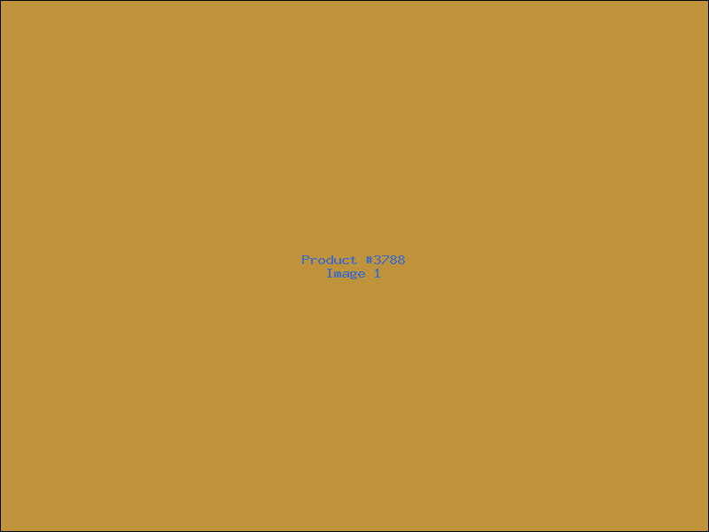 Example Product 3788