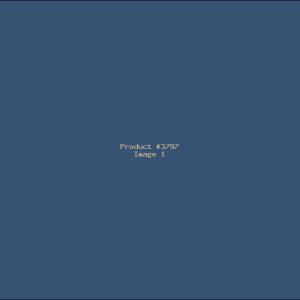 Example Product 3797