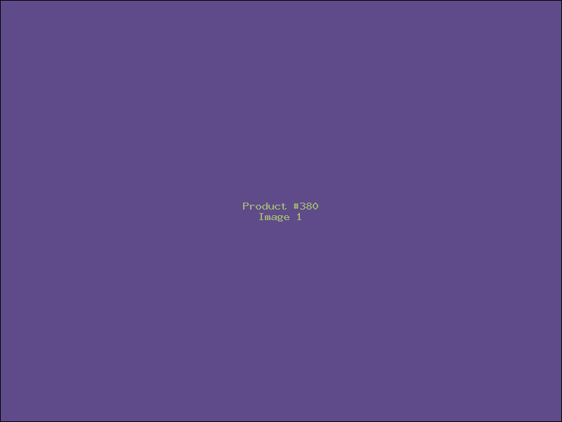 Example Product 380