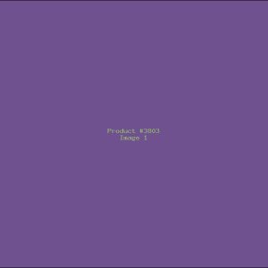 Example Product 3803