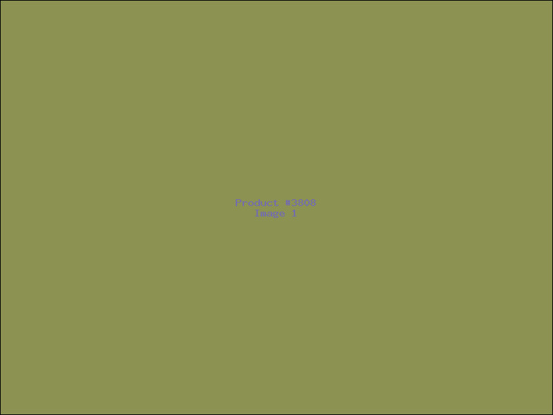 Example Product 3808