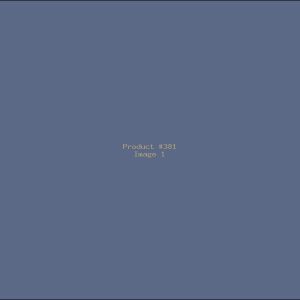 Example Product 381