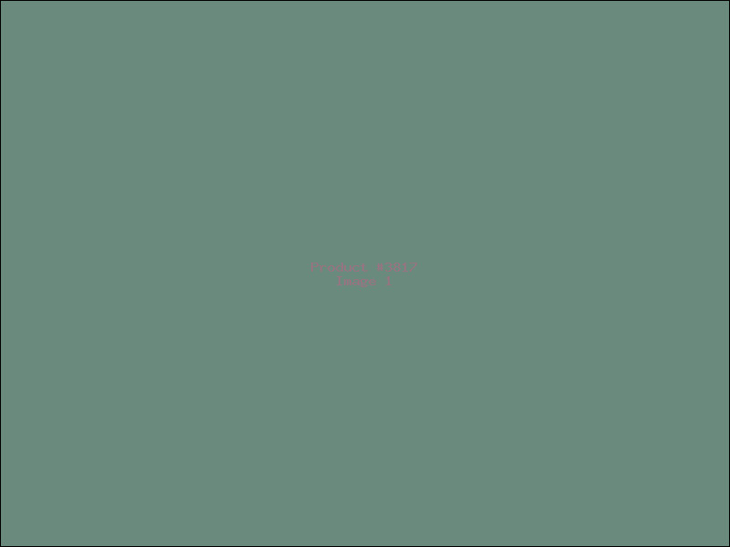 Example Product 3817